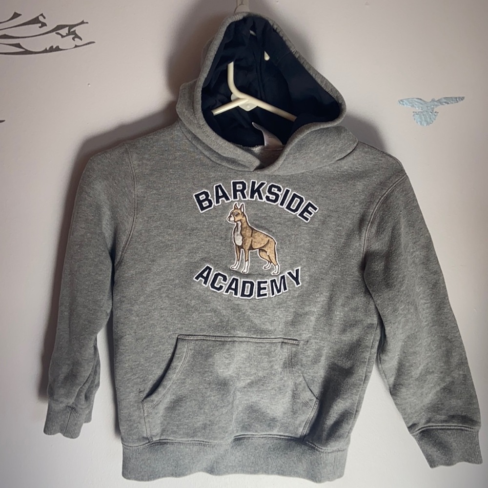 Boy Gymboree Sweatshir. Size 5-6
